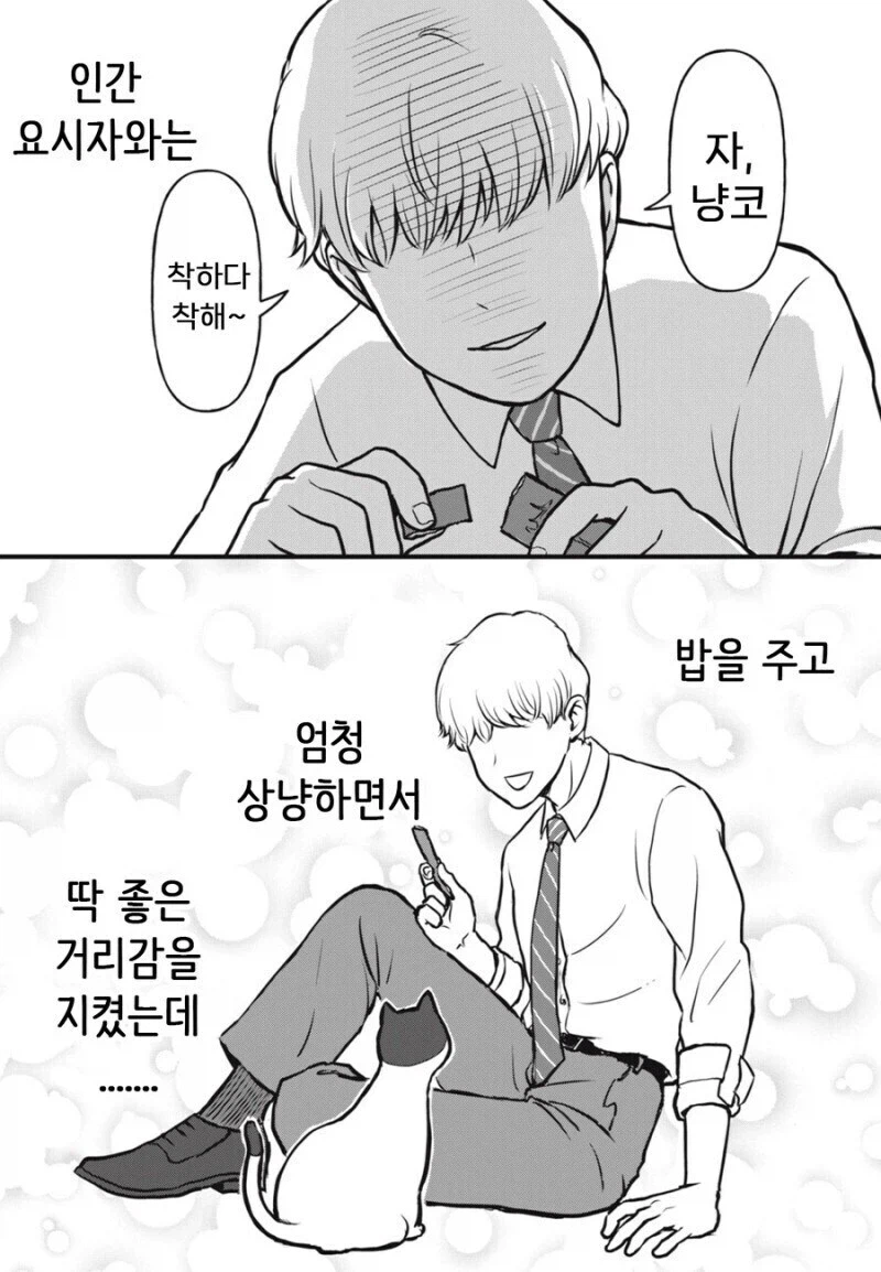 주인 대신 일하는 고양이 만화.manhwa_10.webp