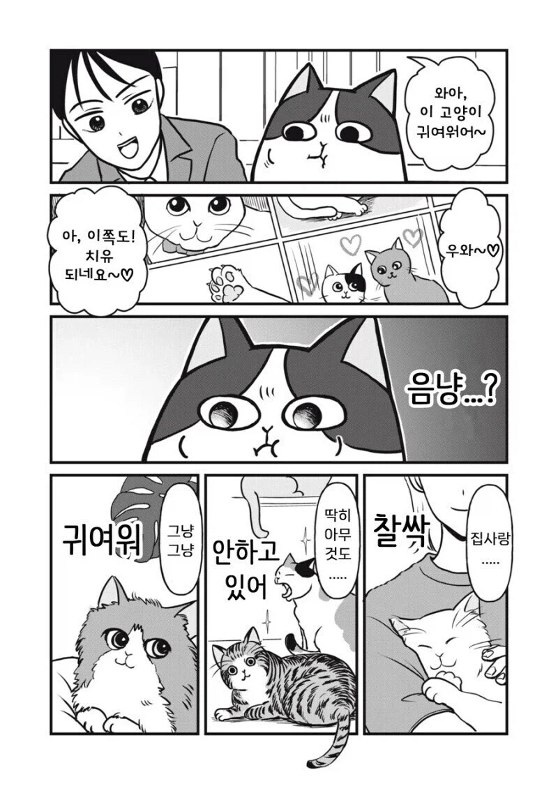 주인 대신 일하는 고양이 만화.manhwa_19.webp