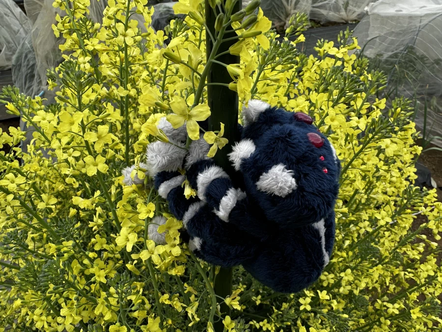 이세계농가)공식에서 마스코트로 밀어주는_3.webp