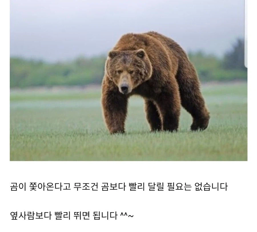 경찰이 쫓아올때 도망가는 방법 알려드립니다._2.webp