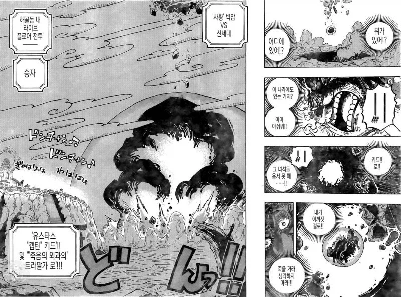 원피스)사실 쿠이나의 말이 어느정도 맞는 이유_3.webp