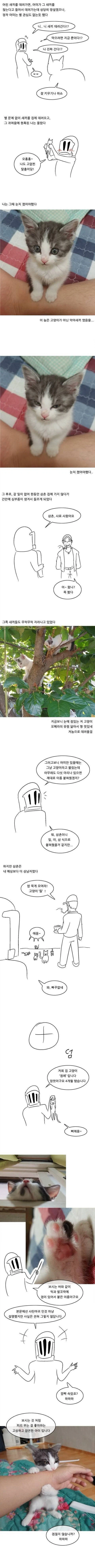 경상도 삼촌과 고양이 manhwa._2.webp