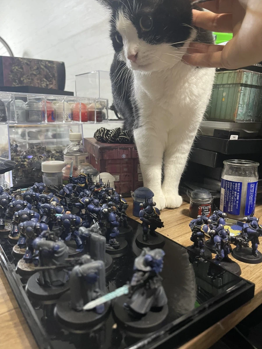 여성 치고는 은근 독특한 취향을 가진 작가_7.webp