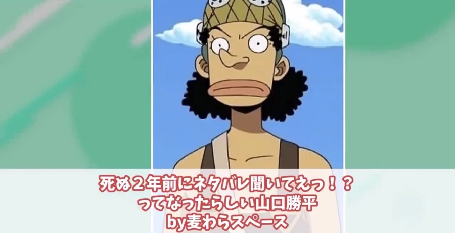 원피스) 에이스가 죽는걸 2년 전에 네타바레 당한 우솝 ㅋㅋㅋ_2.webp