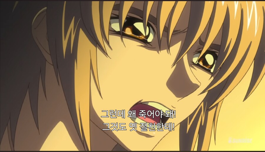 건담)시드서 쌤쌤밈도 빌드업은 있었음_9.jpg