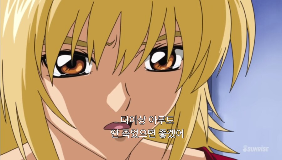 건담)시드서 쌤쌤밈도 빌드업은 있었음_19.jpg