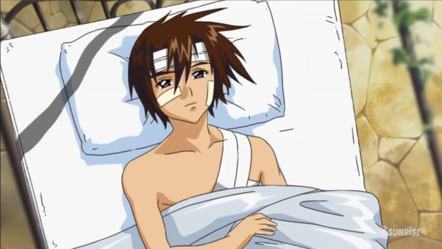 건담)시드서 쌤쌤밈도 빌드업은 있었음_28.jpg