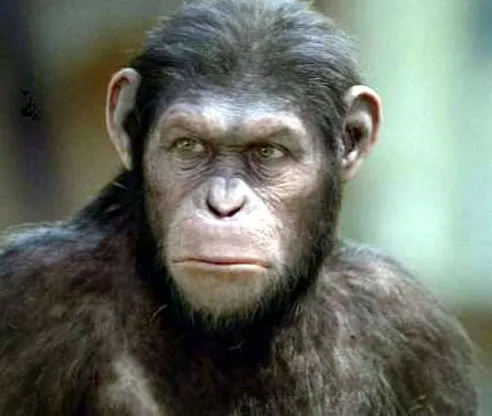 전여친이 야한 최면은 걸어달라는.manhwa_6.webp