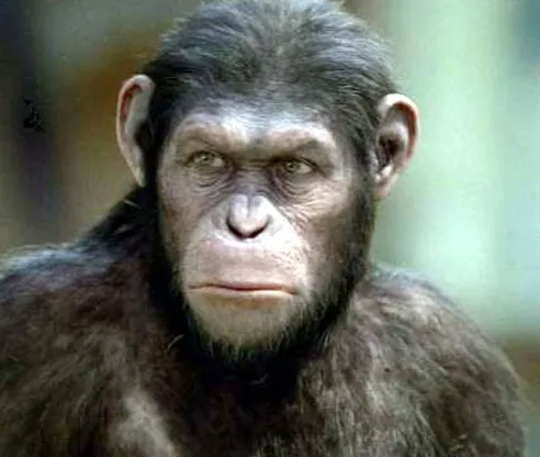 예쁜 여고생과 데이트하게되는.manhwa_21.webp