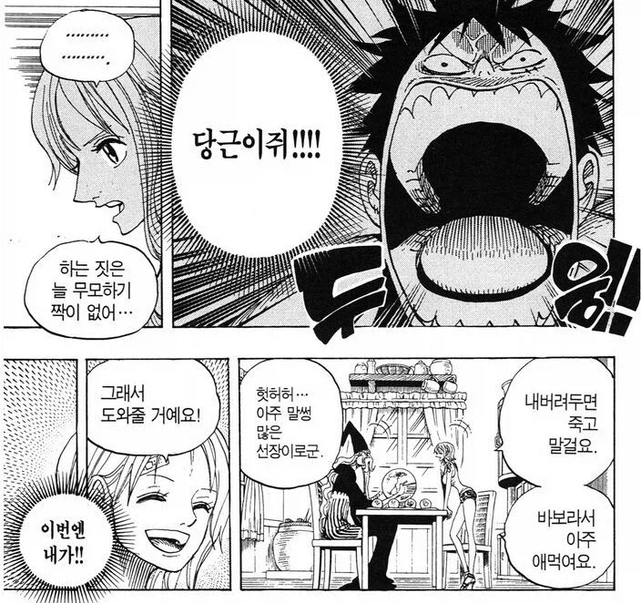원피스) 나미가 항상 루피를 엄청나게 걱정한다는 증거_6.webp