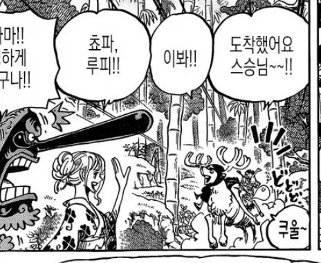 원피스) 나미가 항상 루피를 엄청나게 걱정한다는 증거_4.webp