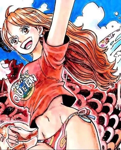 원피스) 밀짚모자 일당 중에 특히 왕으로 자주 그려지는 멤버들_3.webp