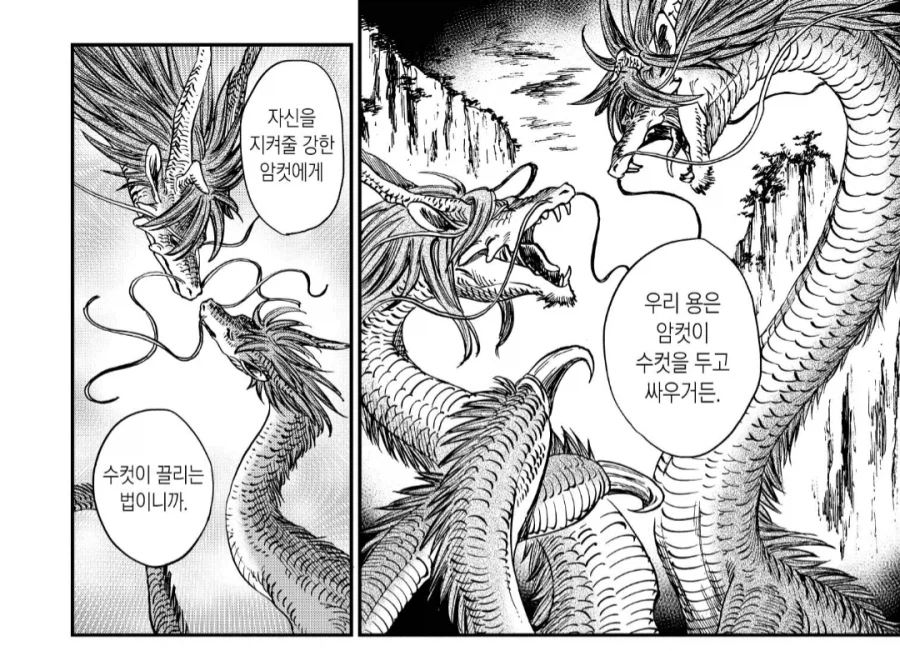 암컷 용과 수컷 용의 차이.manhwa_6.webp