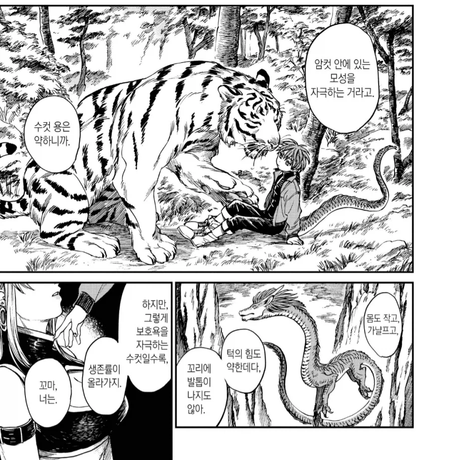 암컷 용과 수컷 용의 차이.manhwa_7.webp