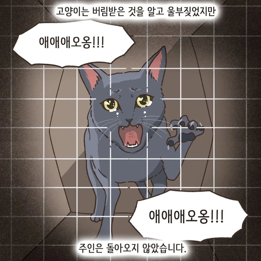 어느 이혼변호사의 고충.manhwa_2.webp