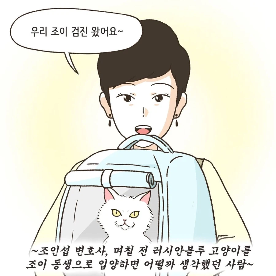 어느 이혼변호사의 고충.manhwa_6.webp