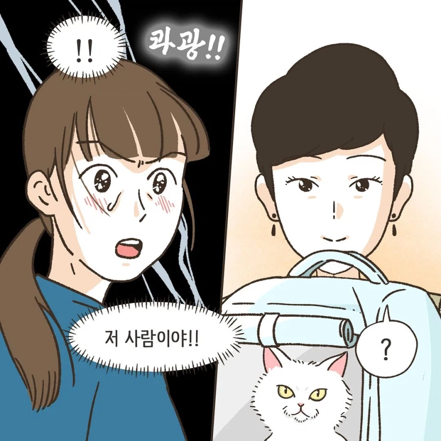 어느 이혼변호사의 고충.manhwa_9.webp