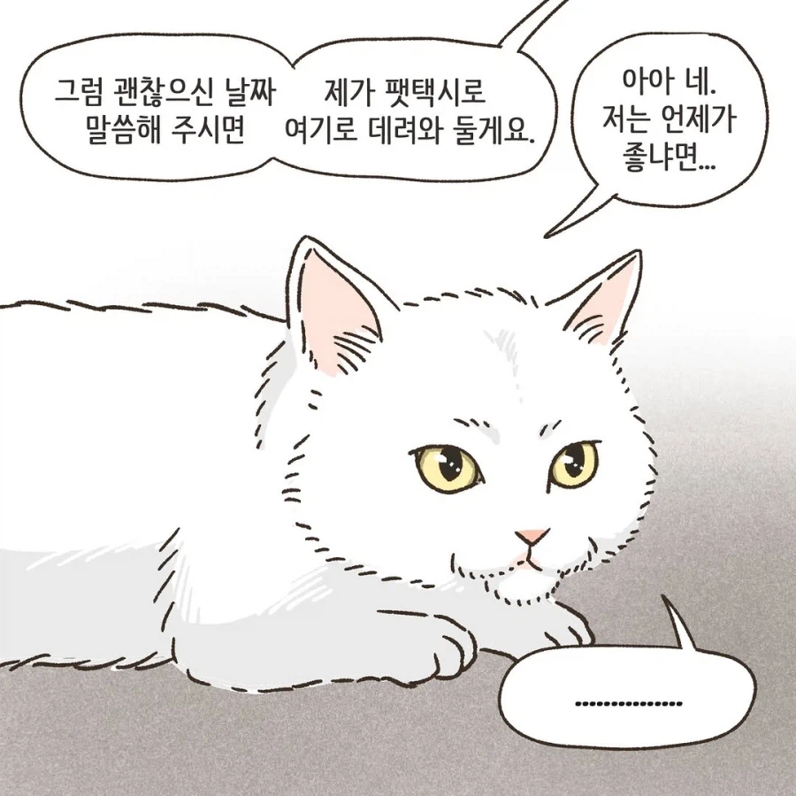 어느 이혼변호사의 고충.manhwa_14.webp