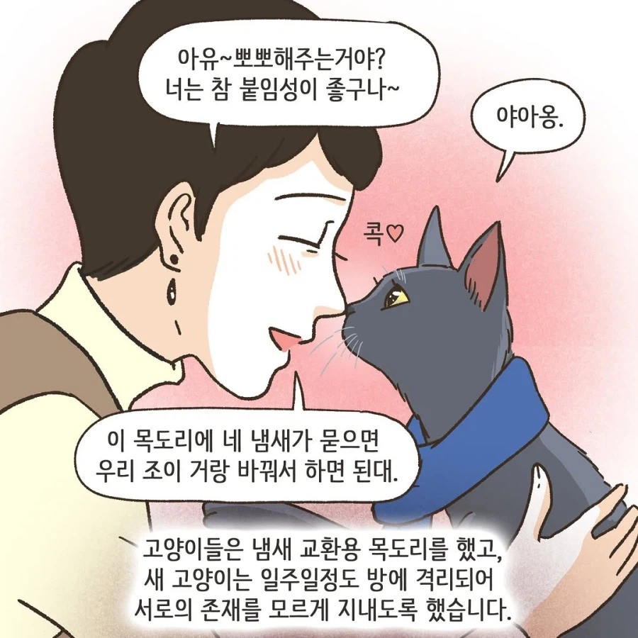 어느 이혼변호사의 고충.manhwa_19.webp