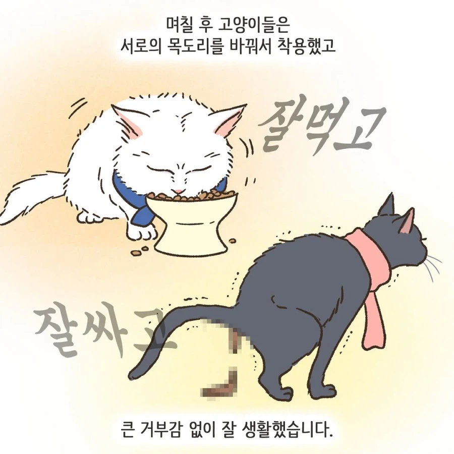 어느 이혼변호사의 고충.manhwa_23.webp