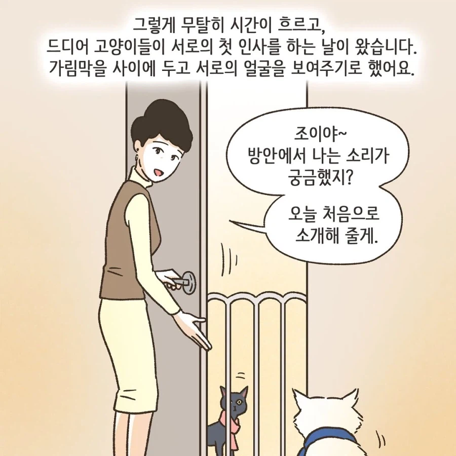 어느 이혼변호사의 고충.manhwa_24.webp