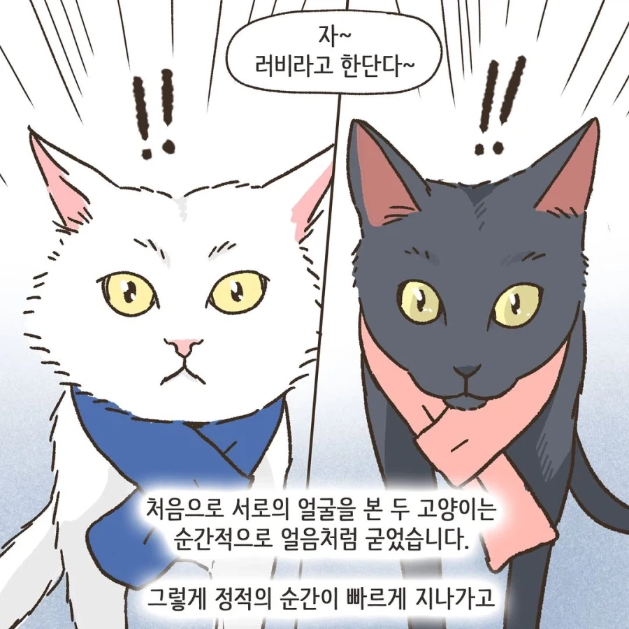 어느 이혼변호사의 고충.manhwa_25.webp