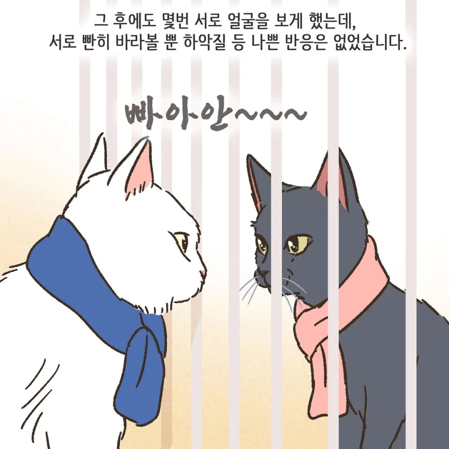 어느 이혼변호사의 고충.manhwa_29.webp