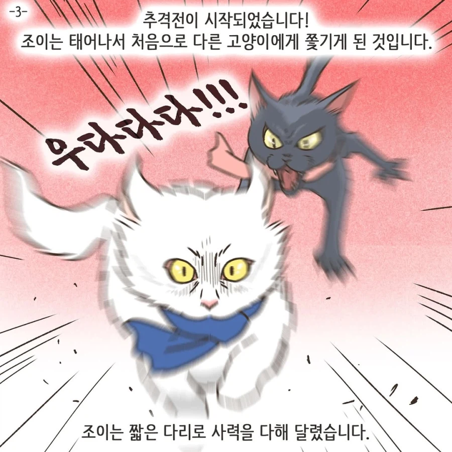 어느 이혼변호사의 고충.manhwa_33.webp