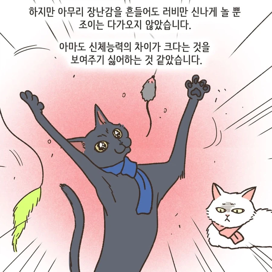 어느 이혼변호사의 고충.manhwa_36.webp