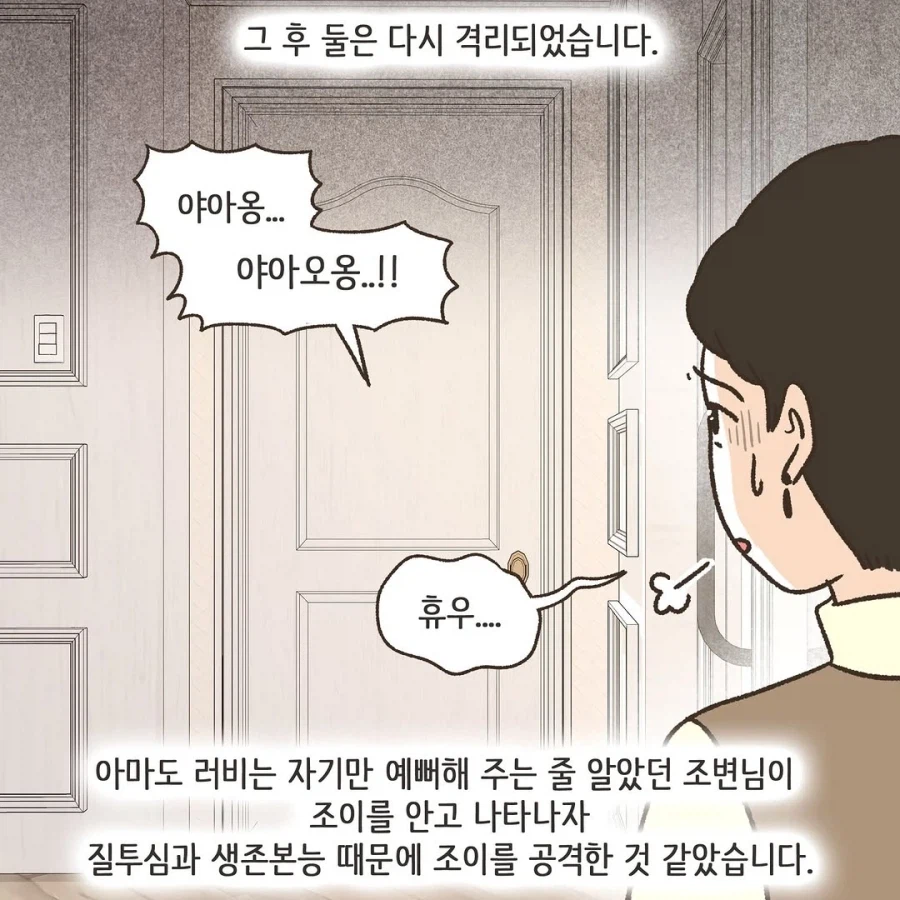 어느 이혼변호사의 고충.manhwa_38.webp