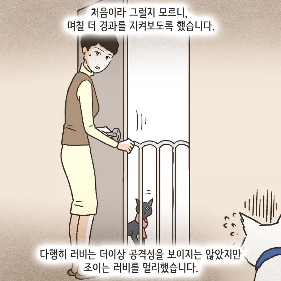 어느 이혼변호사의 고충.manhwa_39.webp