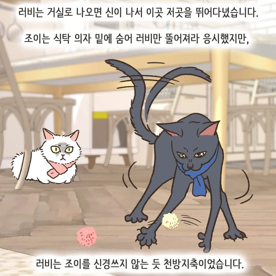 어느 이혼변호사의 고충.manhwa_40.webp