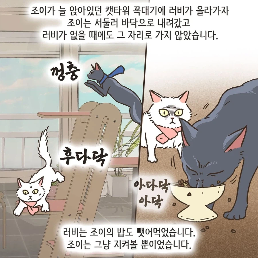 어느 이혼변호사의 고충.manhwa_41.webp