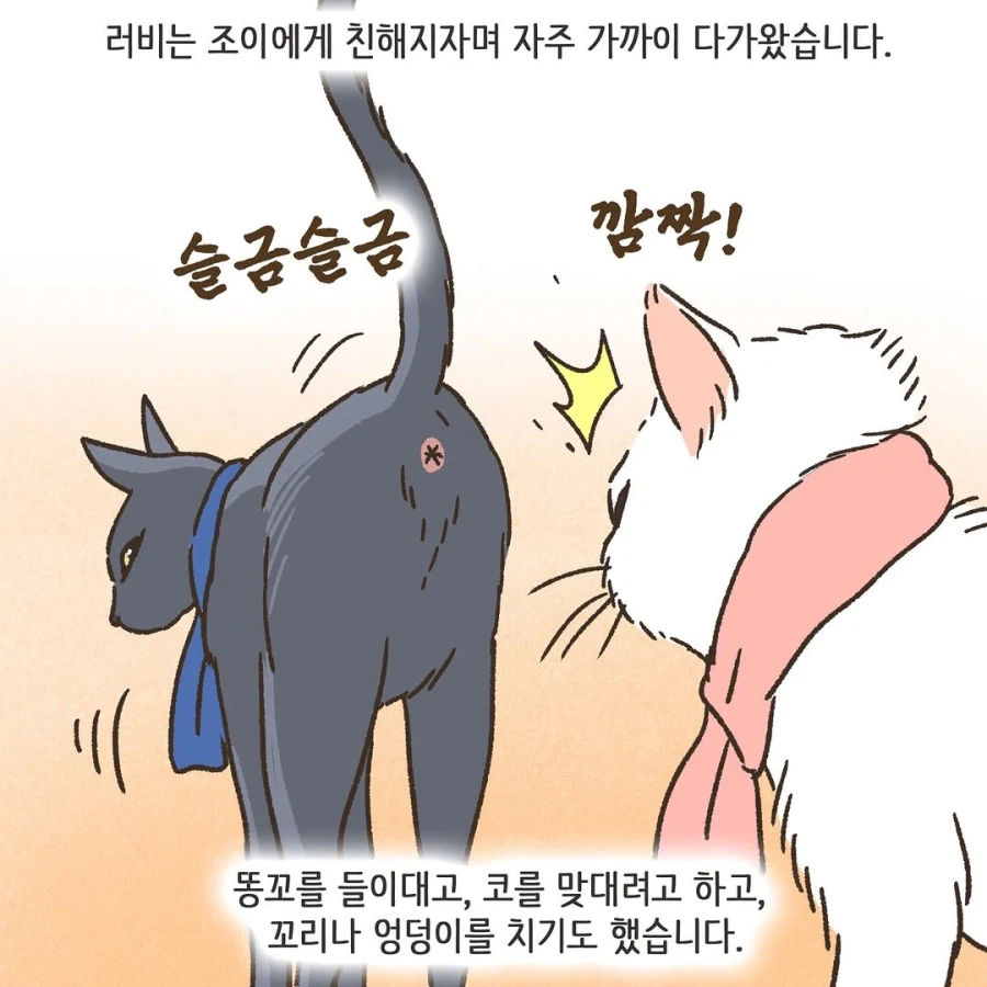 어느 이혼변호사의 고충.manhwa_42.webp