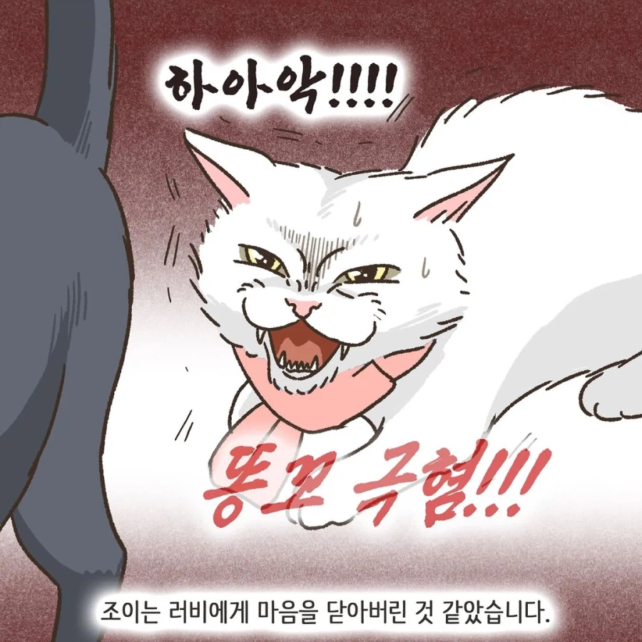 어느 이혼변호사의 고충.manhwa_43.webp