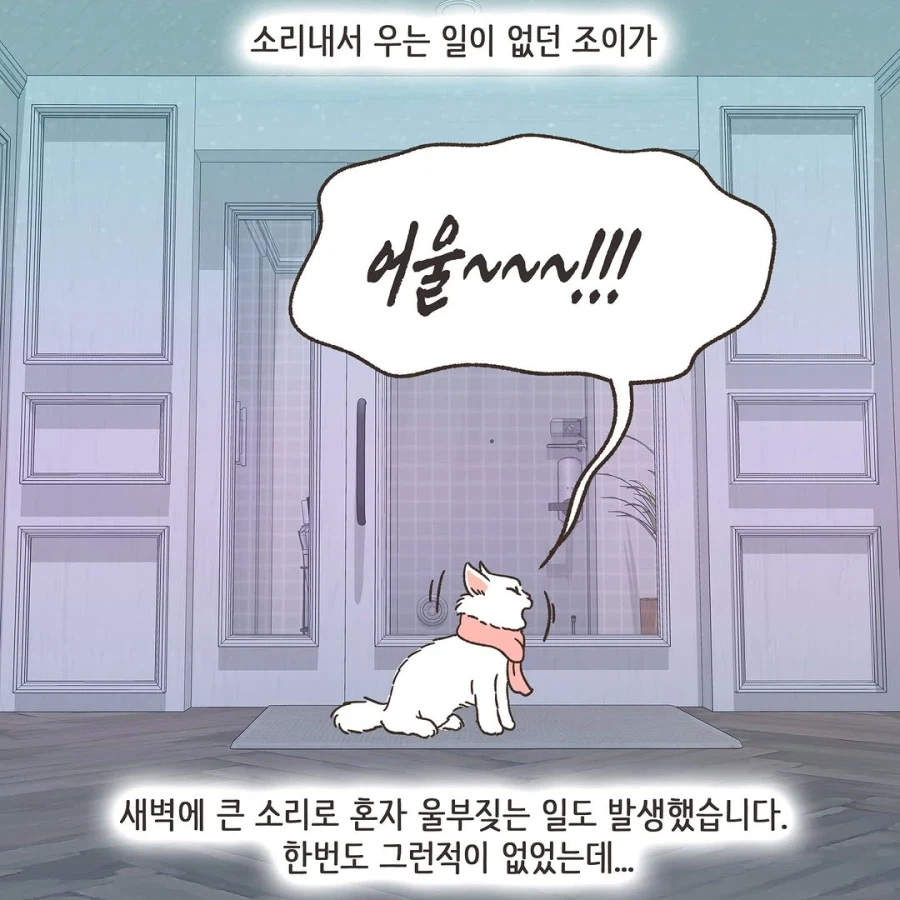 어느 이혼변호사의 고충.manhwa_44.webp