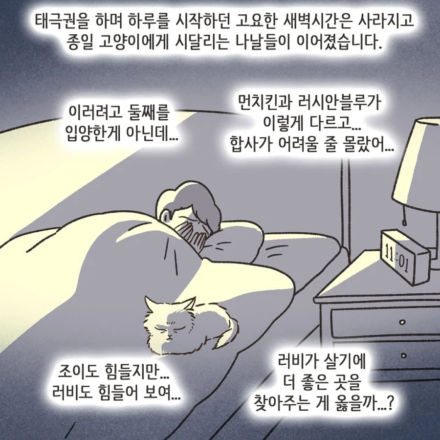 어느 이혼변호사의 고충.manhwa_46.webp