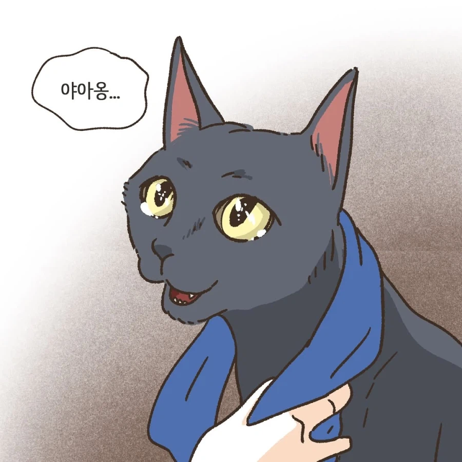 어느 이혼변호사의 고충.manhwa_49.webp
