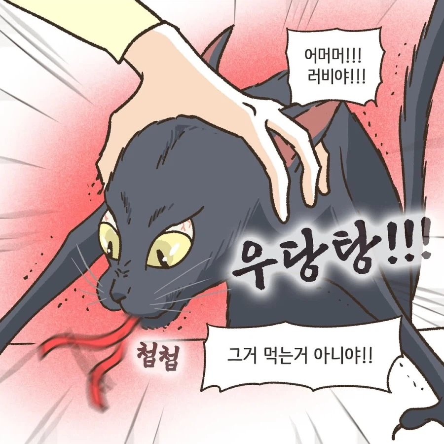 어느 이혼변호사의 고충.manhwa_55.webp