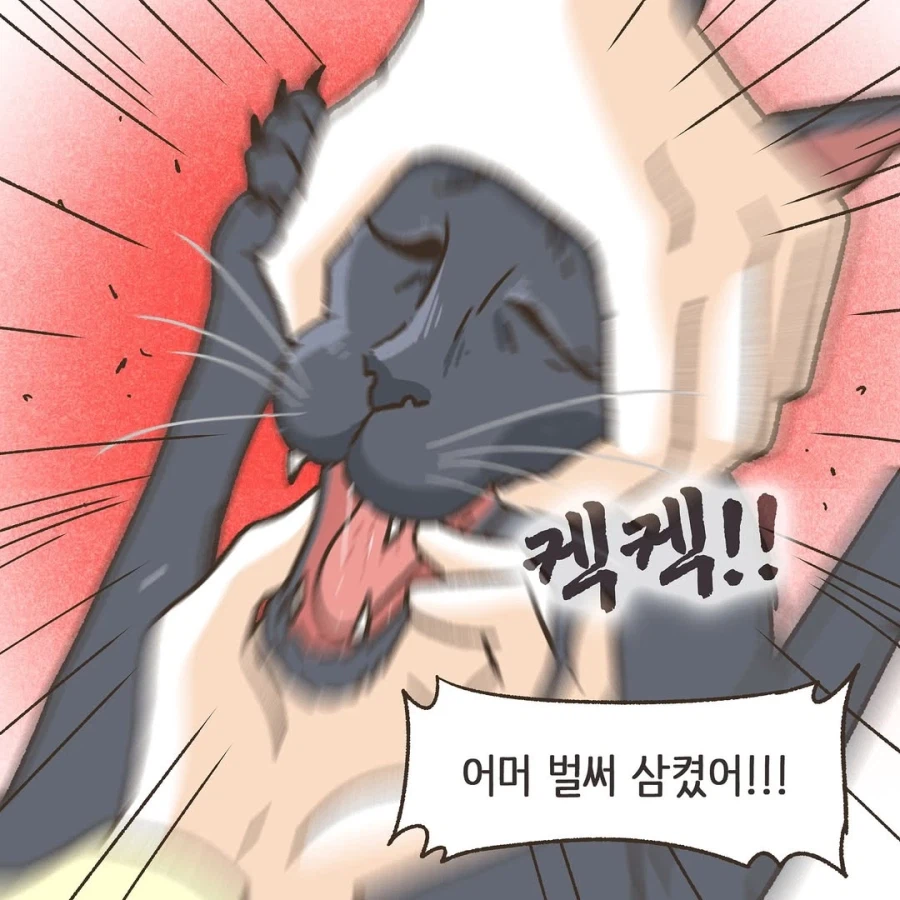 어느 이혼변호사의 고충.manhwa_56.webp