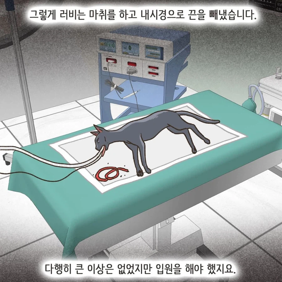 어느 이혼변호사의 고충.manhwa_59.webp