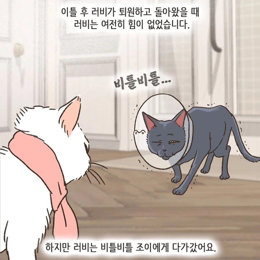 어느 이혼변호사의 고충.manhwa_61.webp