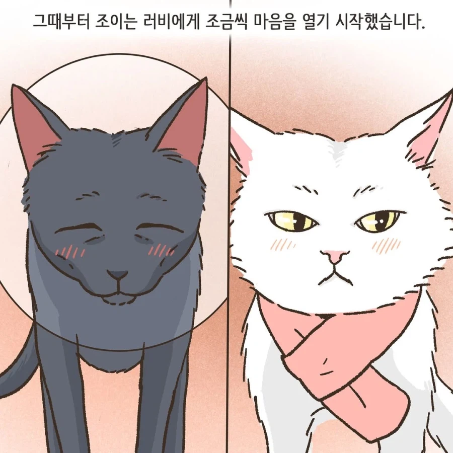 어느 이혼변호사의 고충.manhwa_63.webp