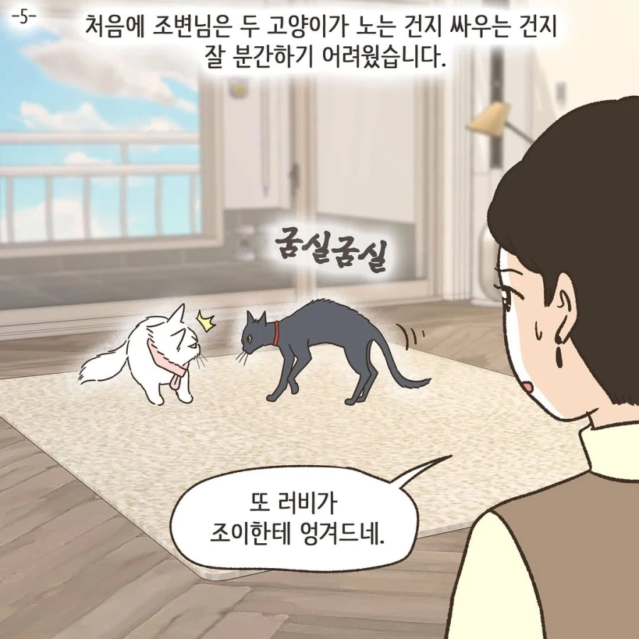 어느 이혼변호사의 고충.manhwa_67.webp