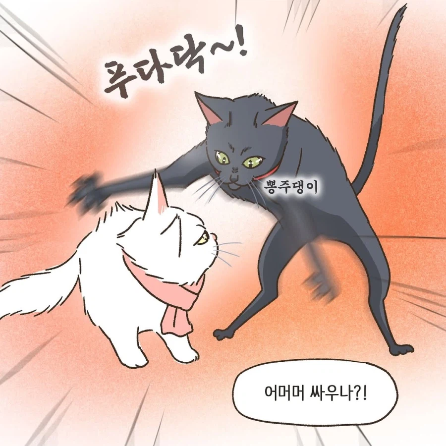 어느 이혼변호사의 고충.manhwa_68.webp