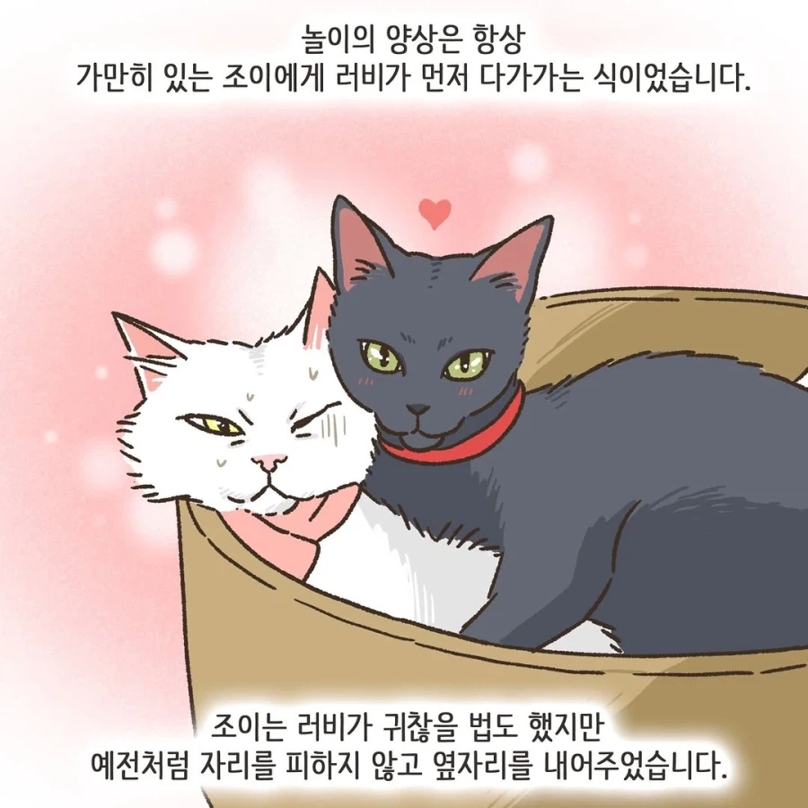 어느 이혼변호사의 고충.manhwa_70.webp