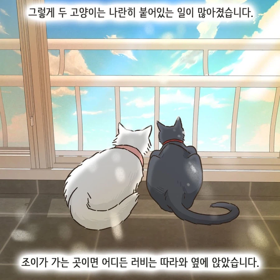 어느 이혼변호사의 고충.manhwa_71.webp