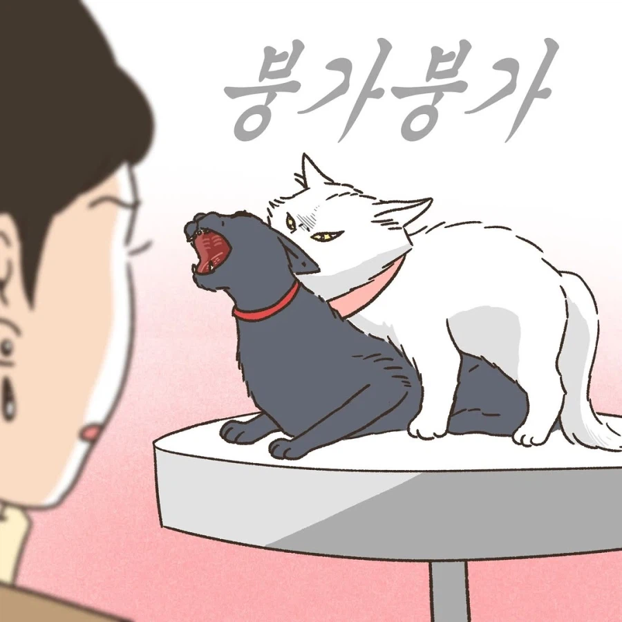 어느 이혼변호사의 고충.manhwa_73.webp