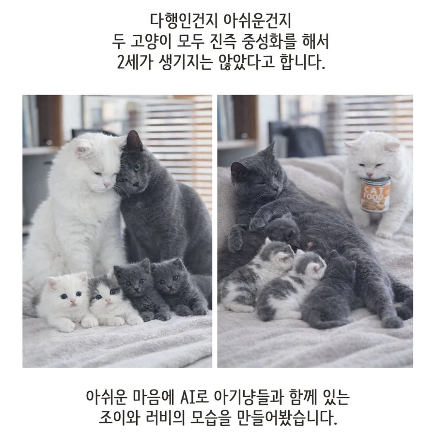 어느 이혼변호사의 고충.manhwa_76.webp