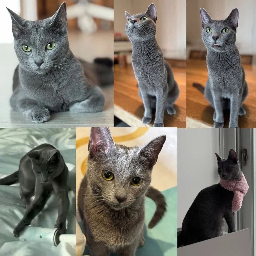 어느 이혼변호사의 고충.manhwa_78.webp